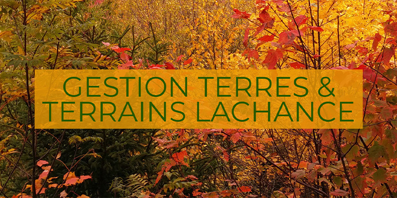 GESTION TERRES & TERRAINS LACHANCE - Entretien d'arbres et aménagement forestier dans la région de Portneuf et de Québec